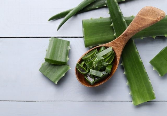 productos con aloe vera
